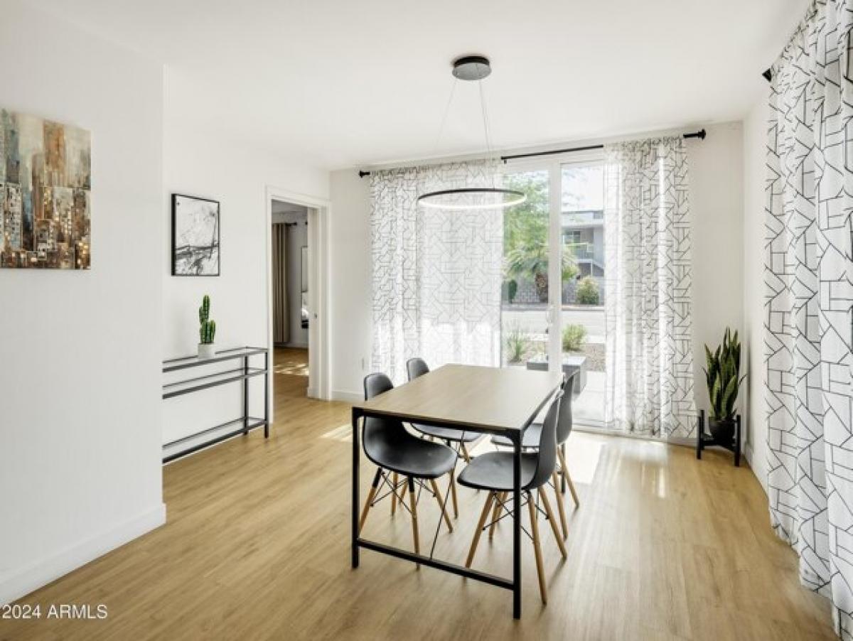 Picture of Apartment For Rent in Scottsdale, Arizona, United States