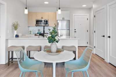 Apartment For Rent in 