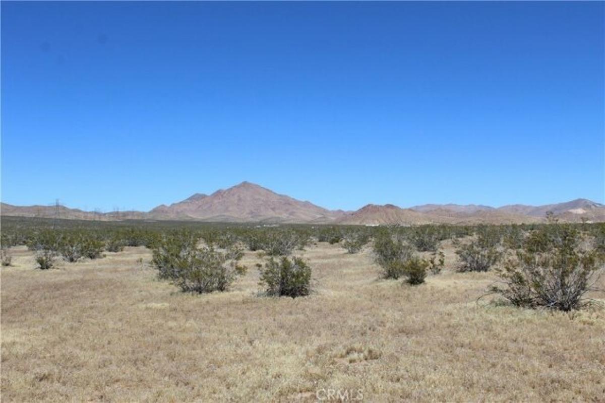 Picture of Residential Land For Sale in Apple Valley, California, United States