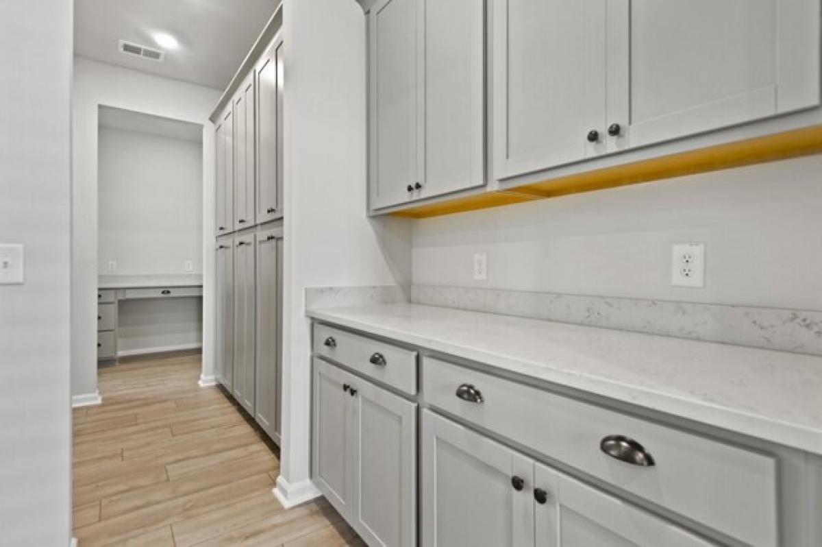 Picture of Home For Rent in Summerville, South Carolina, United States