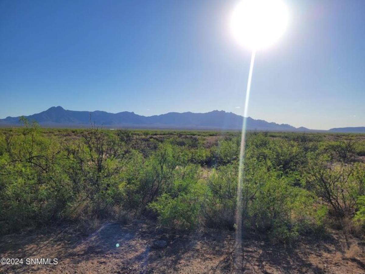 Picture of Residential Land For Sale in Deming, New Mexico, United States