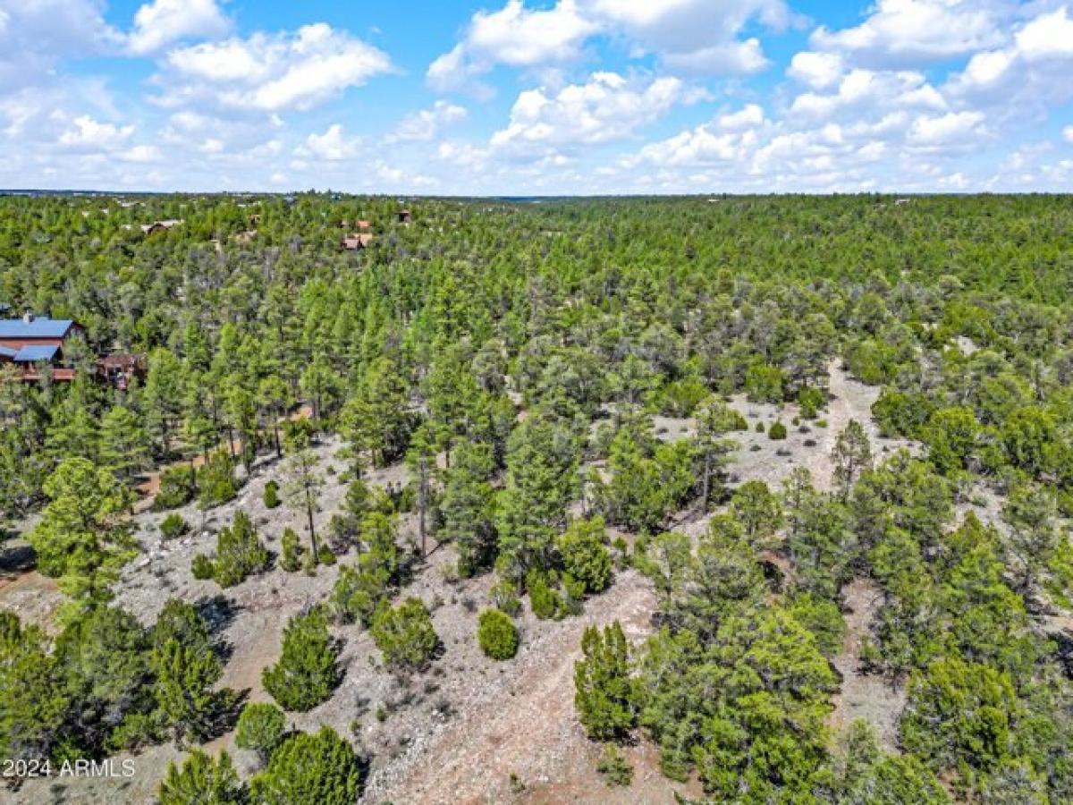 Picture of Residential Land For Sale in Overgaard, Arizona, United States