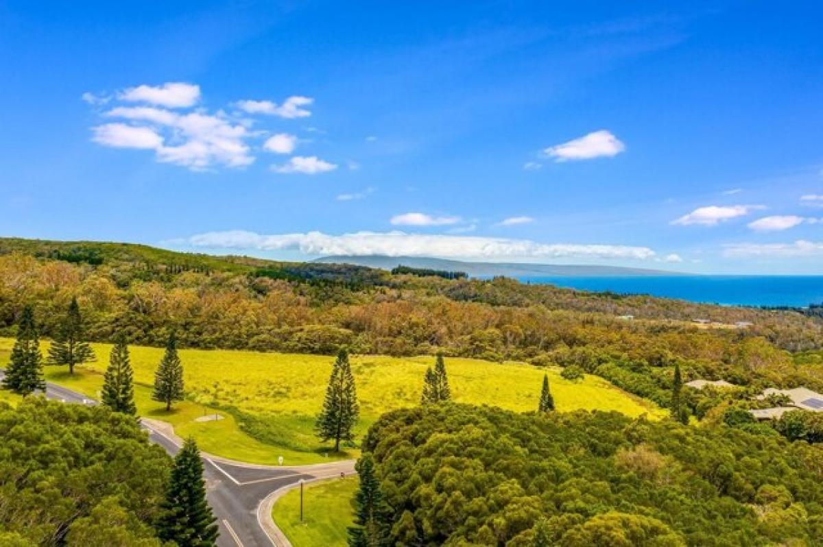 Picture of Residential Land For Sale in Lahaina, Hawaii, United States