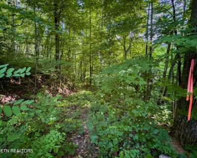 Residential Land For Sale in Sevierville, Tennessee