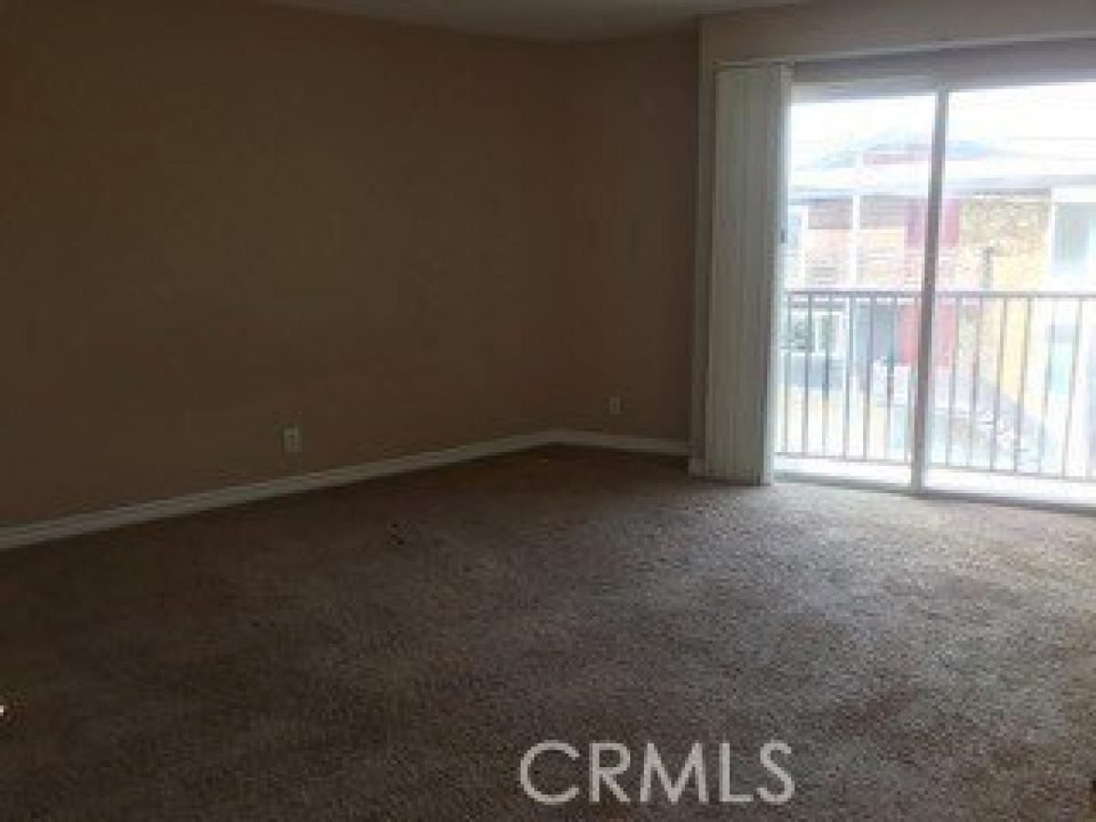 Picture of Apartment For Rent in Los Angeles, California, United States