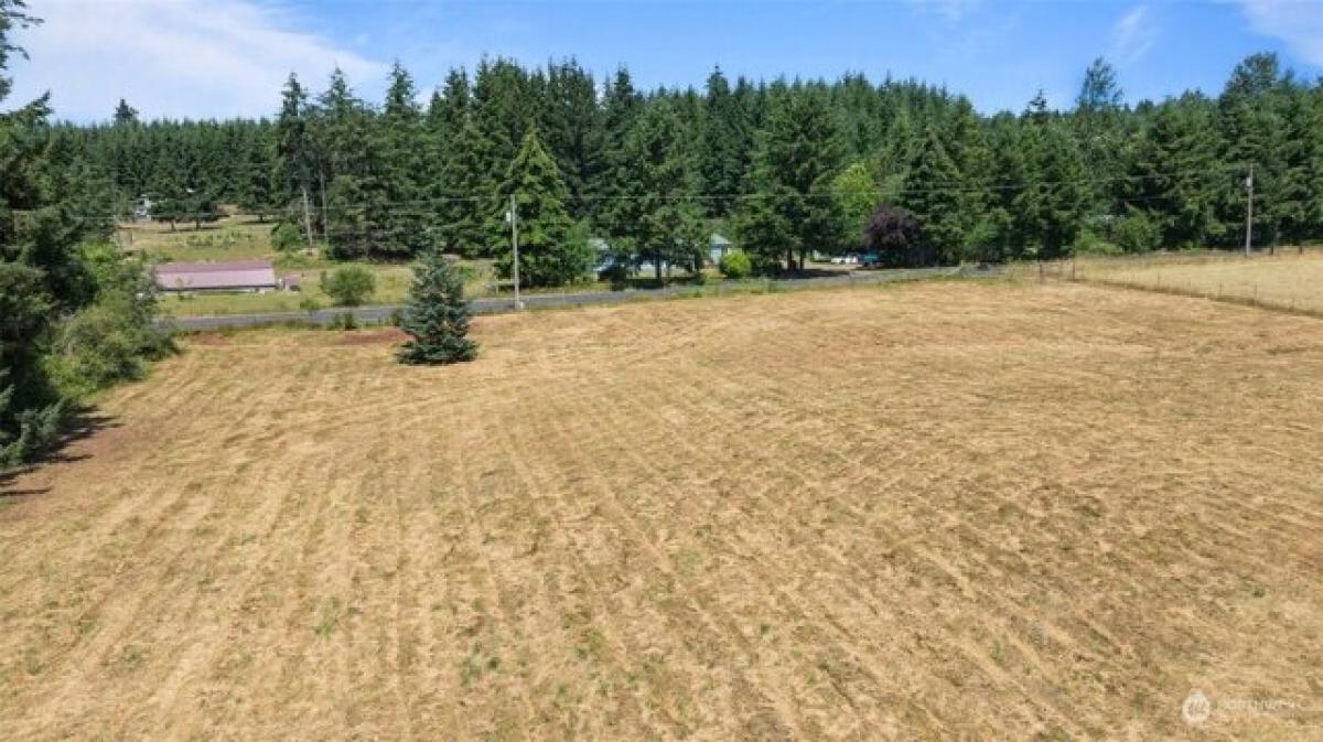 Picture of Residential Land For Sale in Winlock, Washington, United States