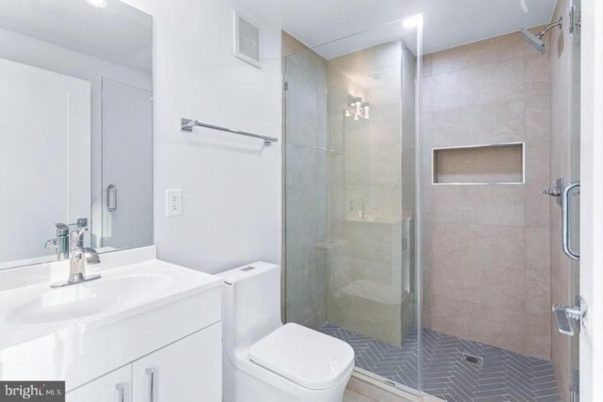 Picture of Apartment For Rent in Washington, District of Columbia, United States