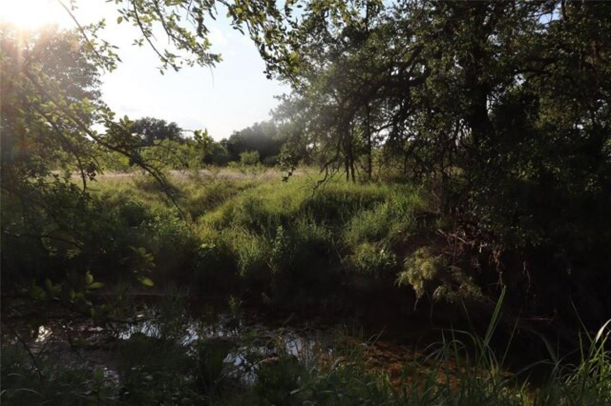 Picture of Residential Land For Sale in Brownwood, Texas, United States