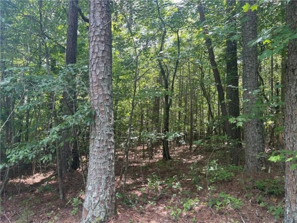 Picture of Residential Land For Sale in Jasper, Georgia, United States
