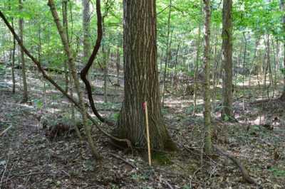 Home For Sale in Campbellsburg, Indiana