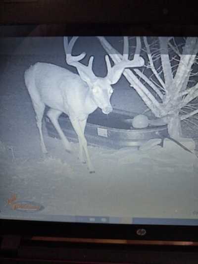 Residential Land For Sale in 