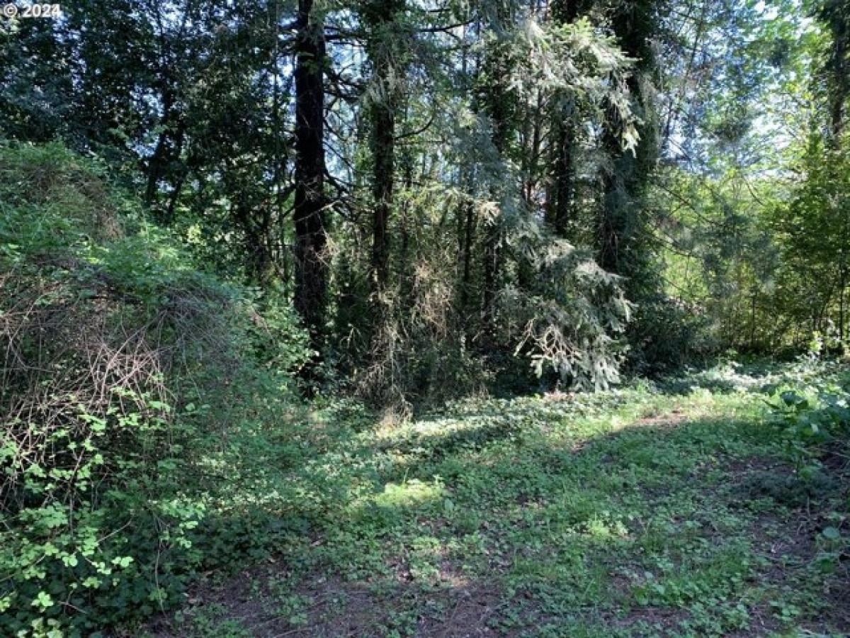 Picture of Residential Land For Sale in Portland, Oregon, United States