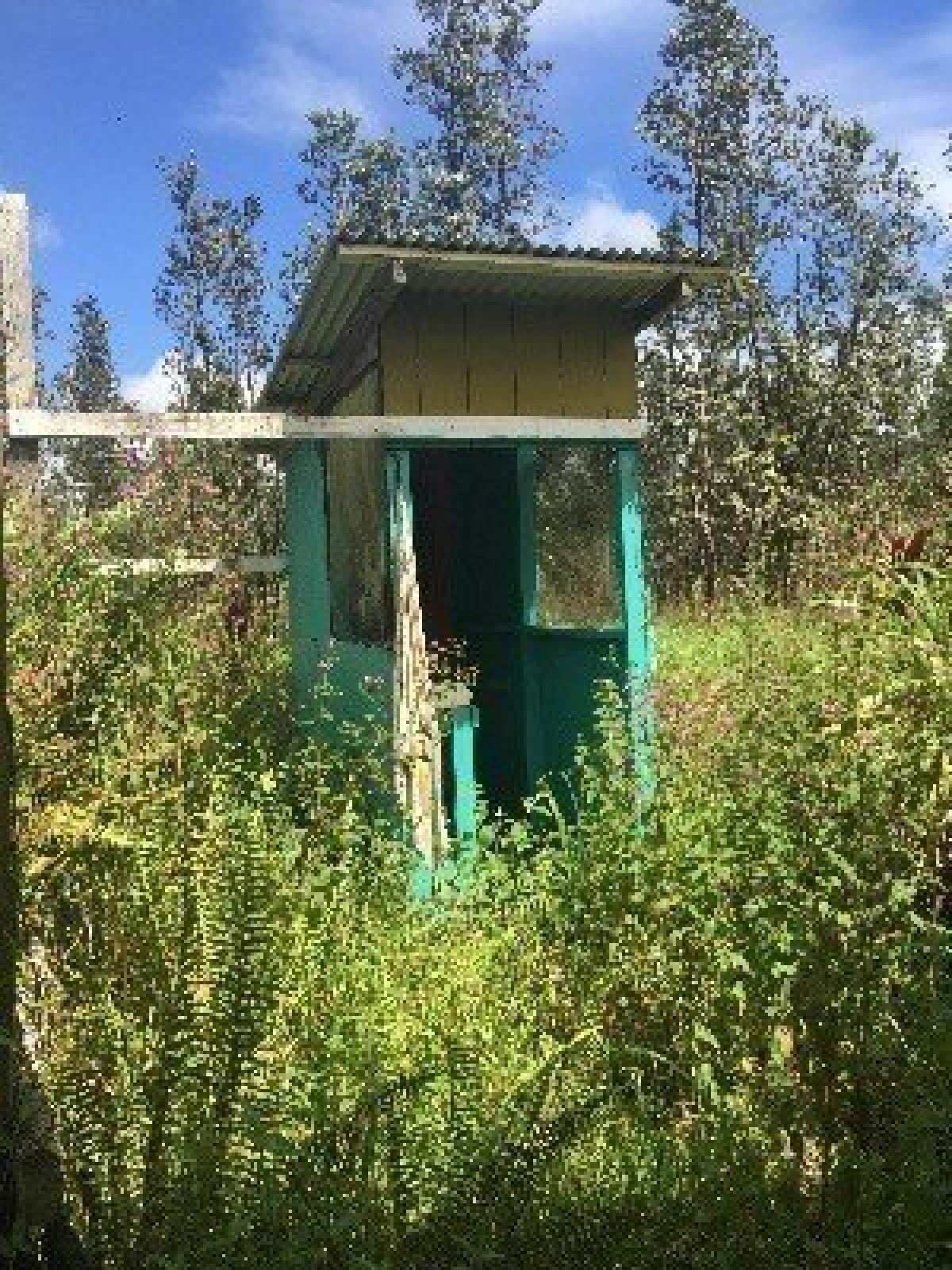 Picture of Residential Land For Sale in Mountain View, Hawaii, United States