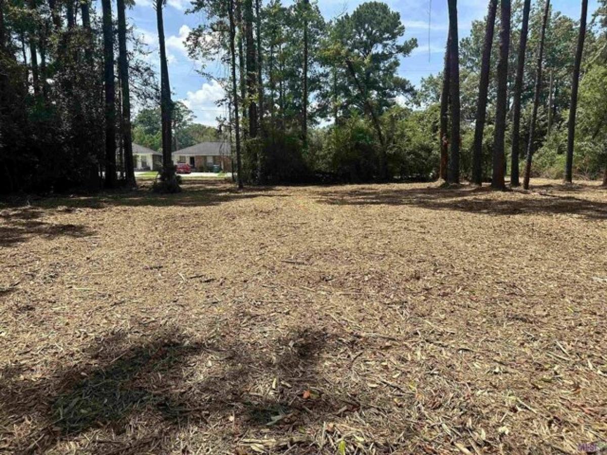 Picture of Residential Land For Sale in Denham Springs, Louisiana, United States