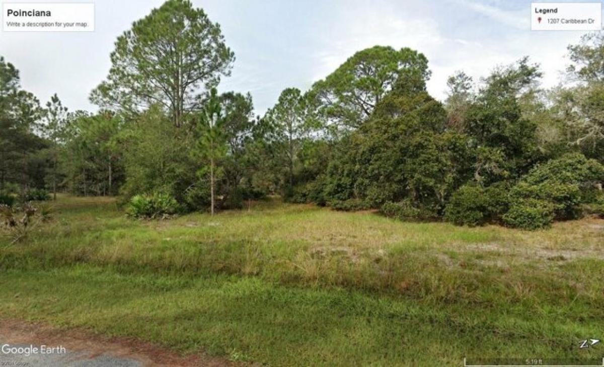 Picture of Residential Land For Sale in Kissimmee, Florida, United States