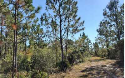 Residential Land For Sale in