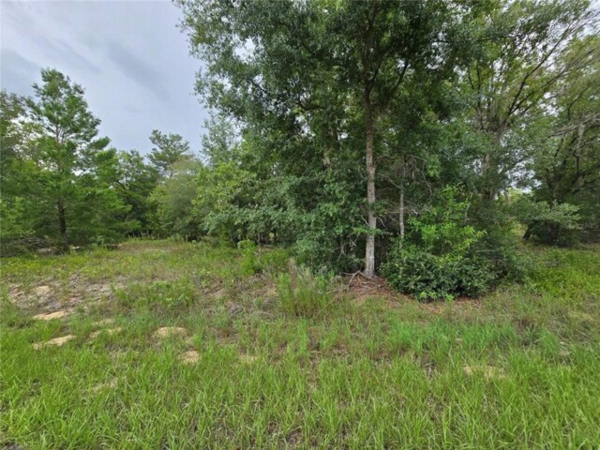 Picture of Residential Land For Sale in Ocklawaha, Florida, United States