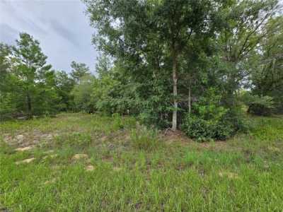 Residential Land For Sale in Ocklawaha, Florida