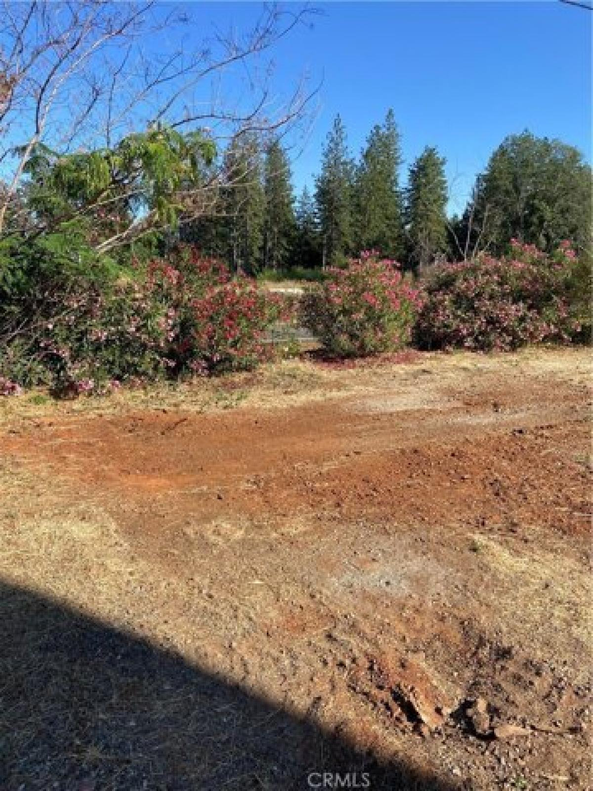 Picture of Residential Land For Sale in Paradise, California, United States