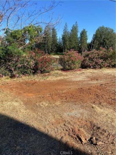 Residential Land For Sale in Paradise, California