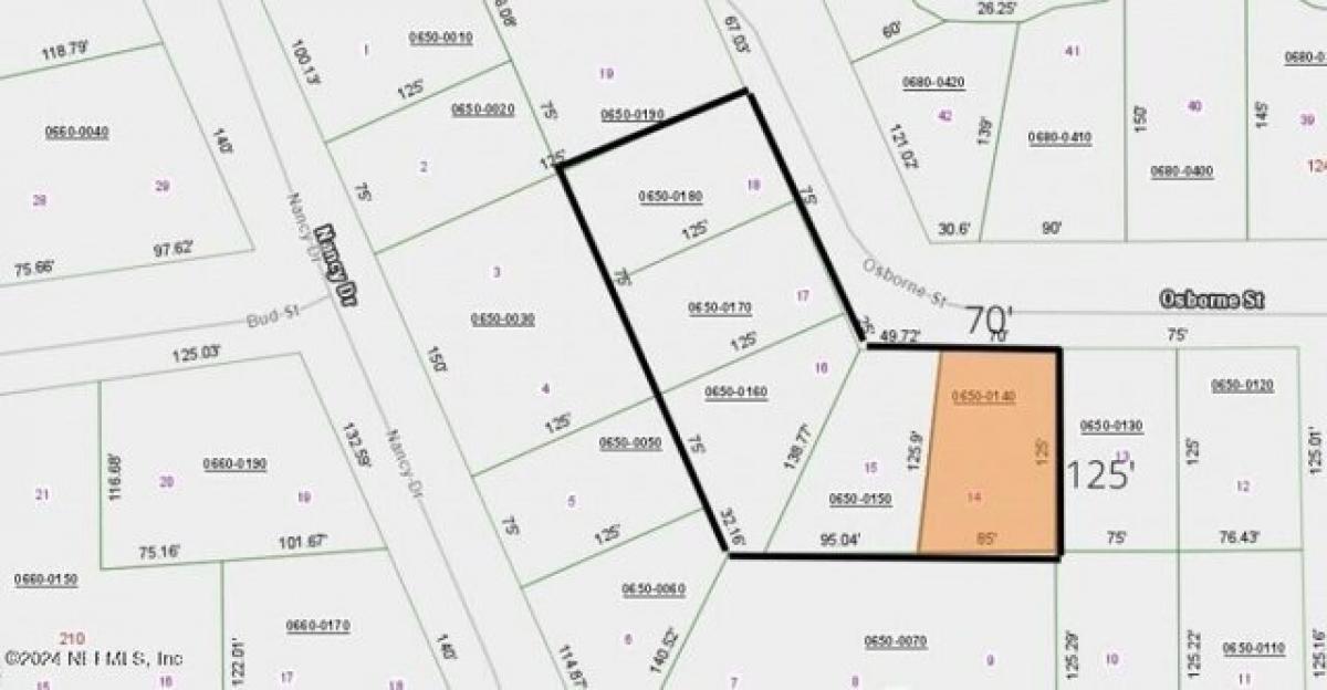 Picture of Residential Land For Sale in Interlachen, Florida, United States