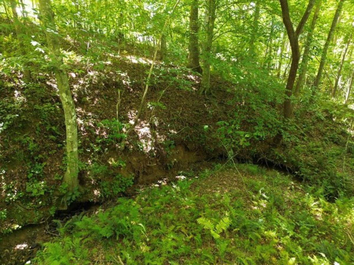 Picture of Residential Land For Sale in Blairsville, Georgia, United States