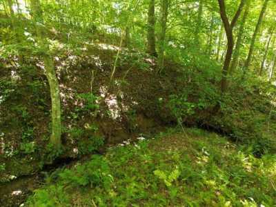 Residential Land For Sale in Blairsville, Georgia