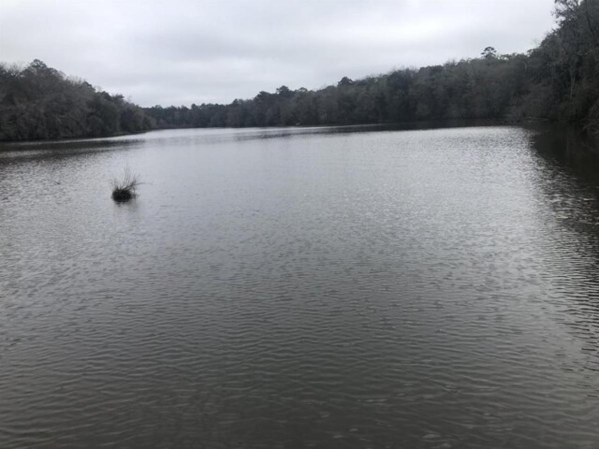 Picture of Residential Land For Sale in Tallahassee, Florida, United States