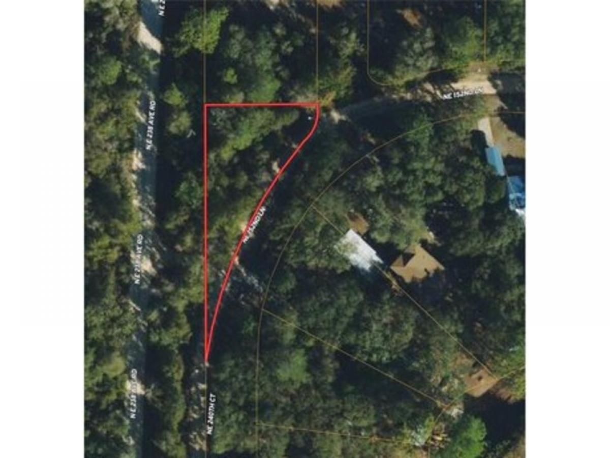 Picture of Residential Land For Rent in Salt Springs, Florida, United States