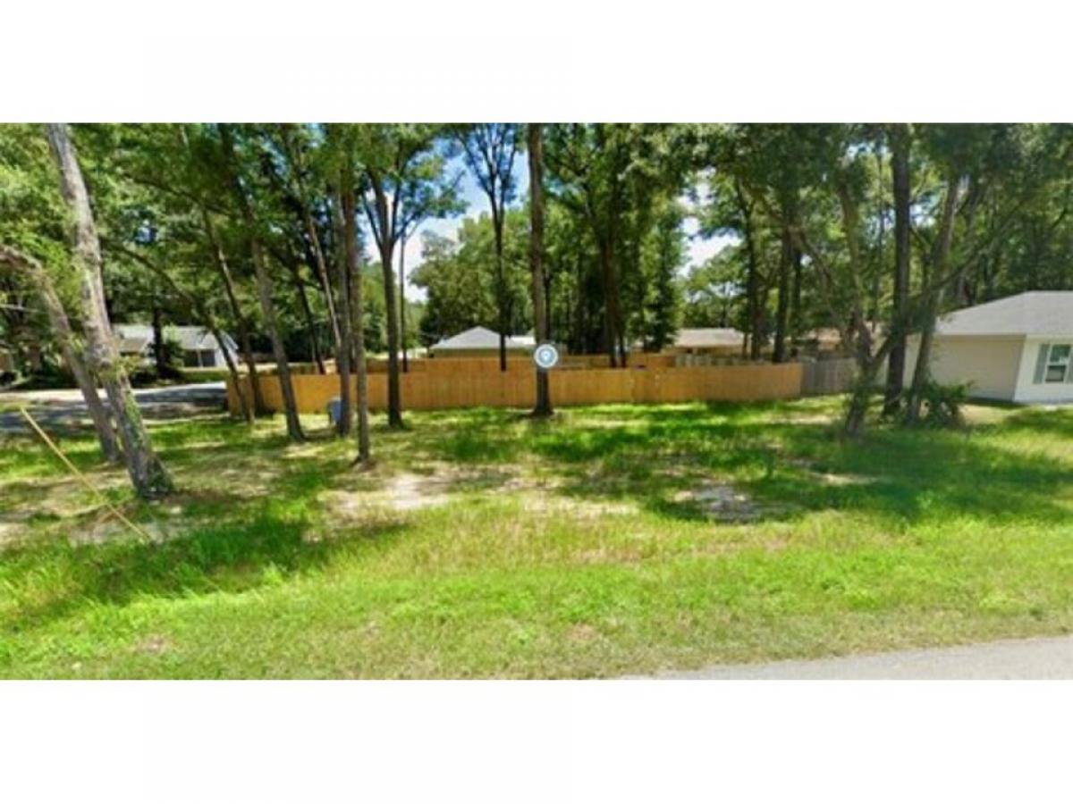 Picture of Residential Land For Sale in Ocala, Florida, United States