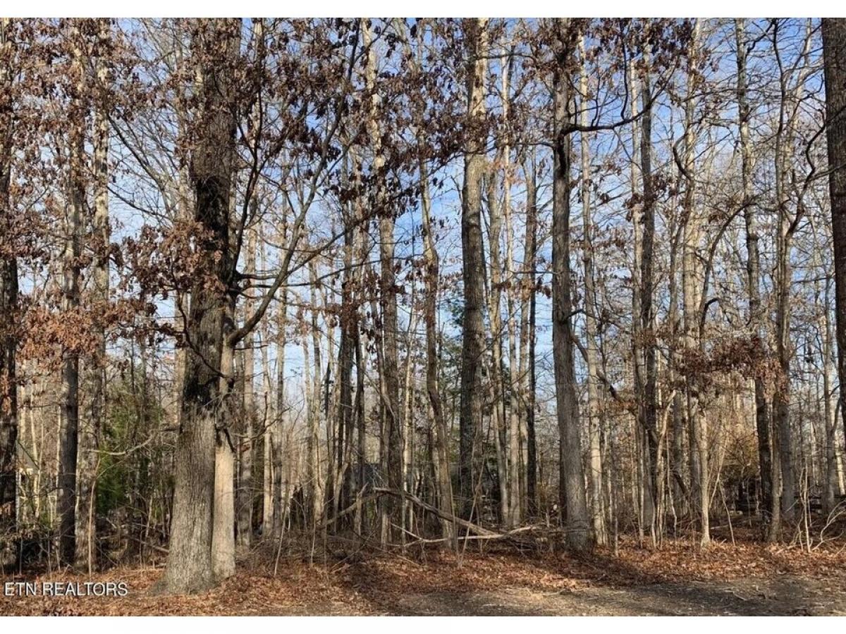 Picture of Residential Land For Rent in Fairfield Glade, Tennessee, United States