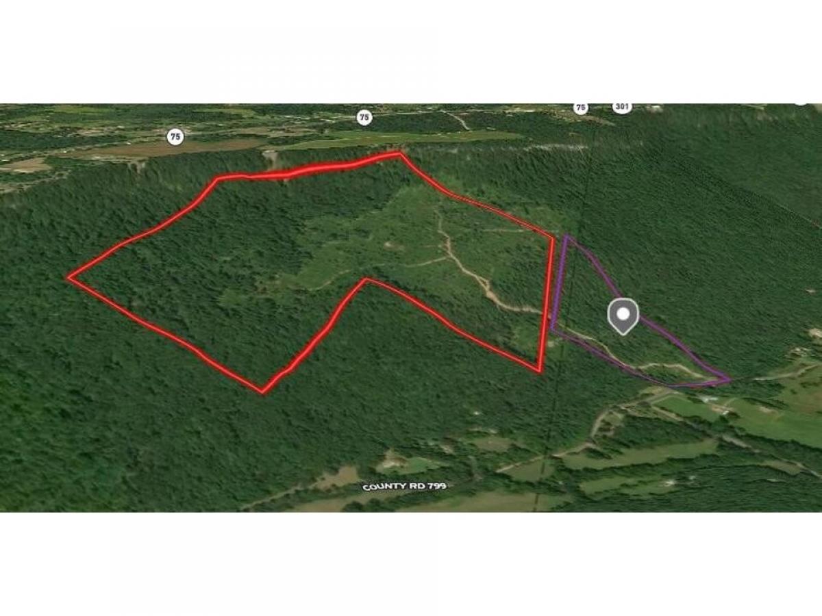 Picture of Residential Land For Sale in Rising Fawn, Georgia, United States