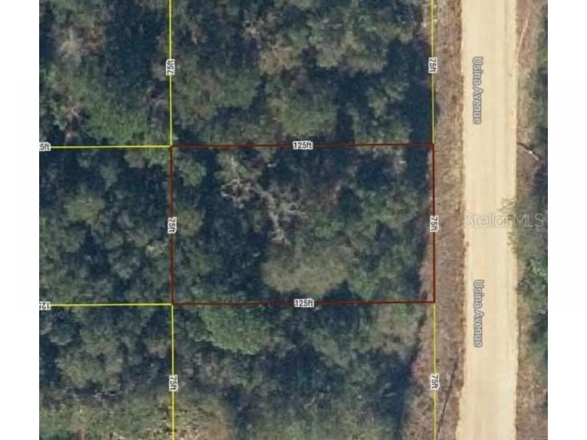 Picture of Residential Land For Rent in Interlachen, Florida, United States