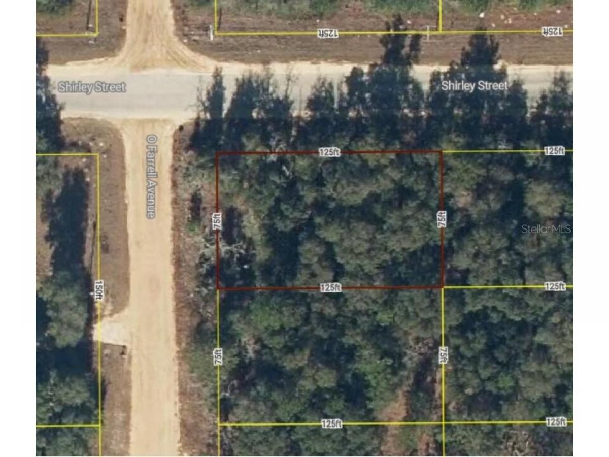 Picture of Residential Land For Rent in Interlachen, Florida, United States