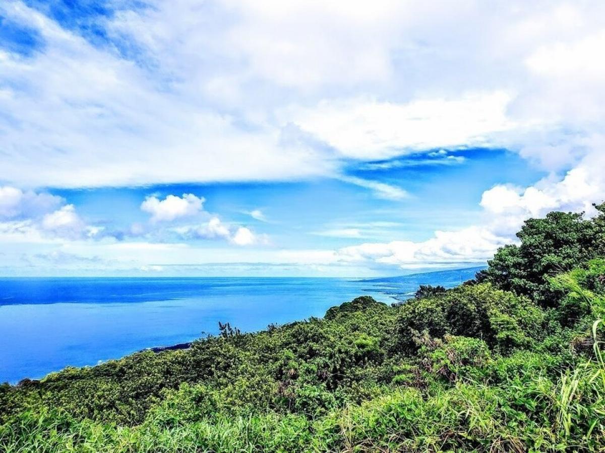 Picture of Residential Land For Sale in Captain Cook, Hawaii, United States