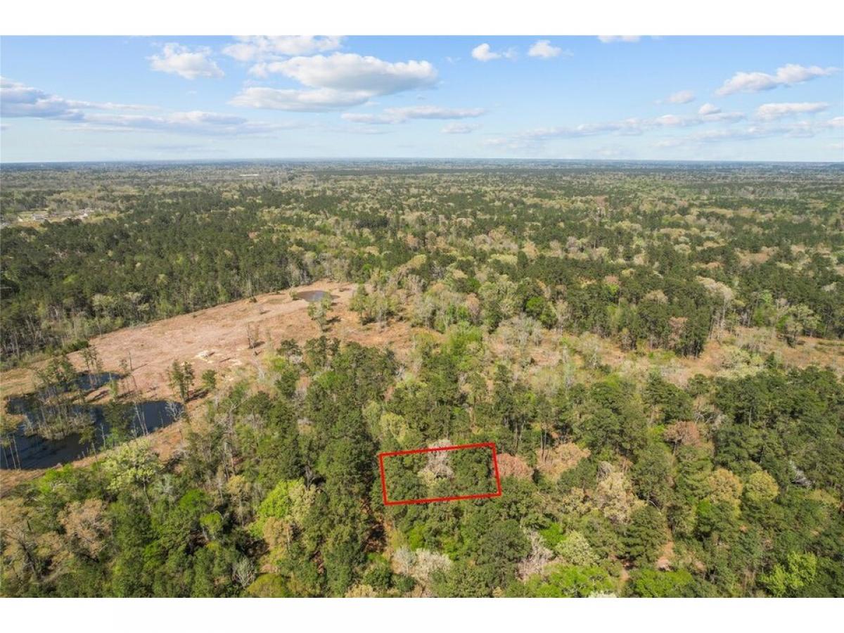 Picture of Residential Land For Sale in New Caney, Texas, United States