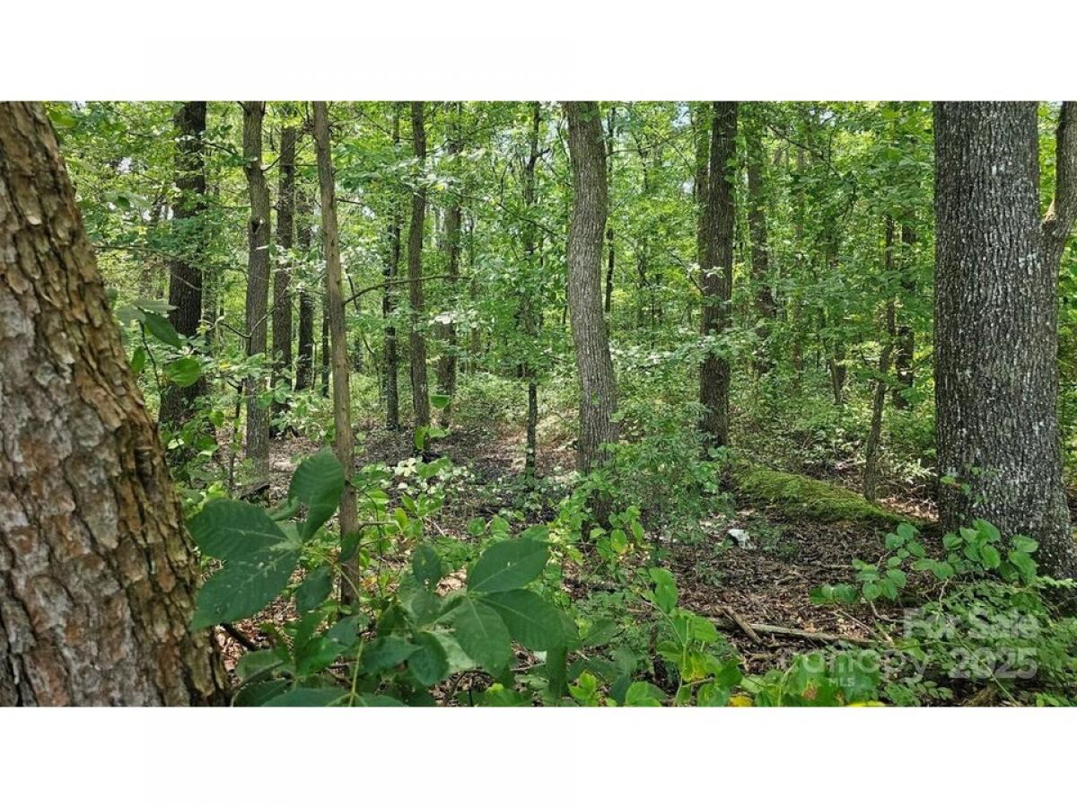 Picture of Residential Land For Sale in Peachland, North Carolina, United States