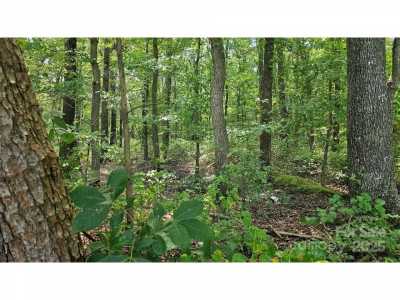 Residential Land For Sale in Peachland, North Carolina