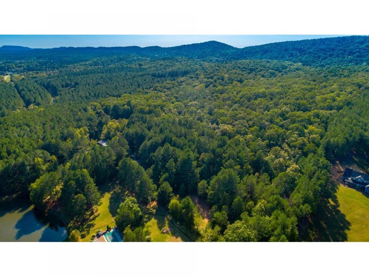 Picture of Residential Land For Sale in Ringgold, Georgia, United States