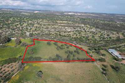 Residential Land For Sale in 