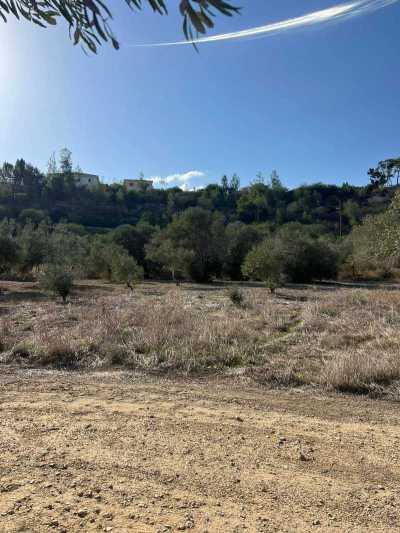 Residential Land For Sale in 