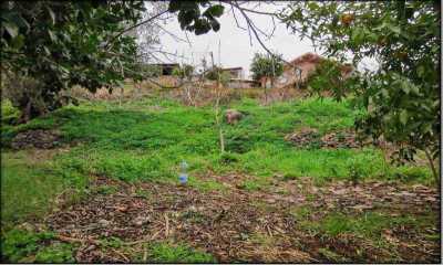 Residential Land For Sale in 