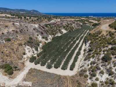 Residential Land For Sale in Polis Chrysochous, Cyprus