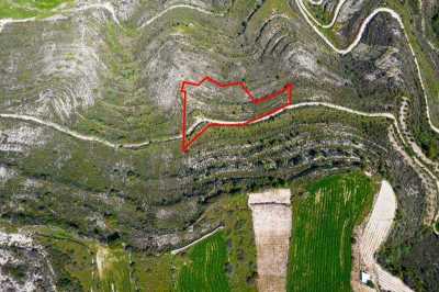 Residential Land For Sale in Pachna, Cyprus