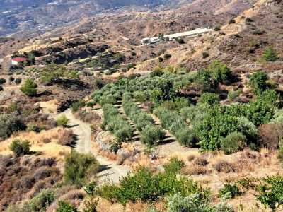 Residential Land For Sale in 