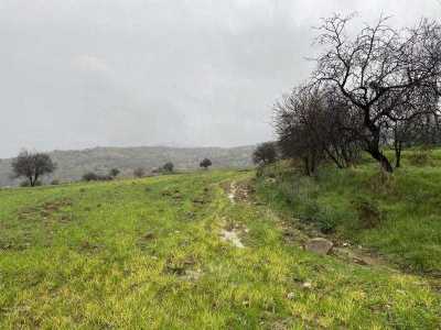 Residential Land For Sale in Kelokedara, Cyprus