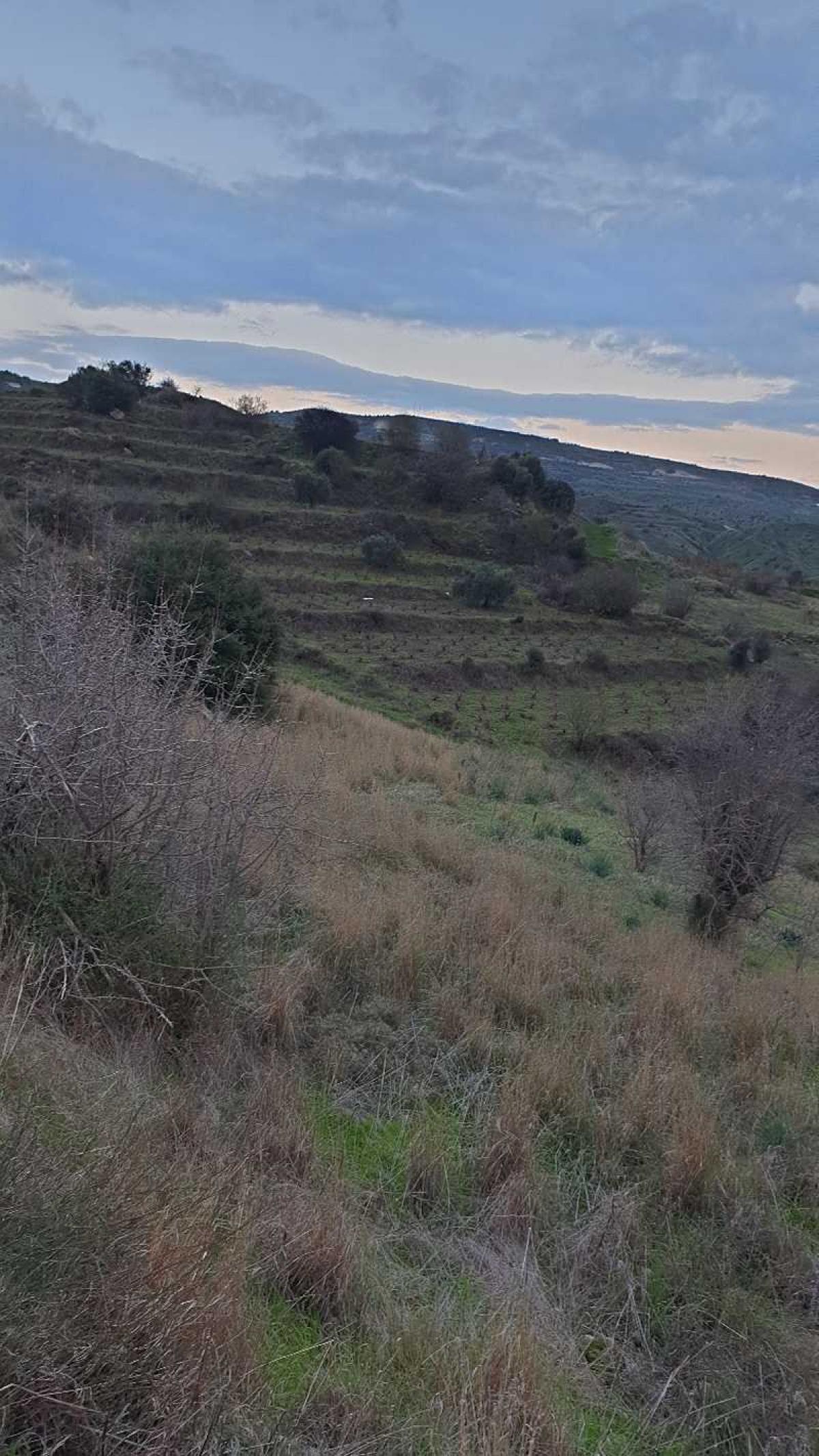 Picture of Residential Land For Sale in Statos, Paphos, Cyprus