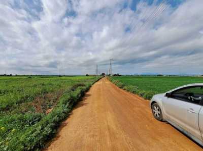 Residential Land For Sale in Frenaros, Cyprus