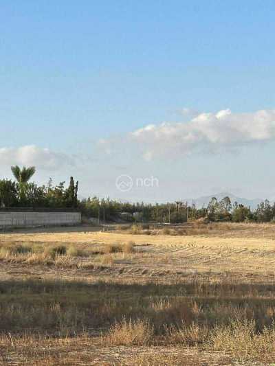 Residential Land For Sale in