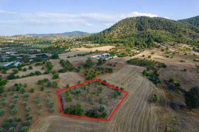 Residential Land For Sale in